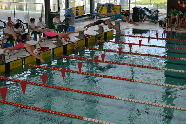 10914911_798489963581447_8323670661390763014_o