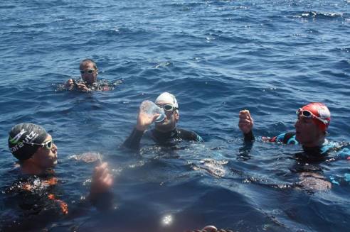 11193244_852231768207266_5092996925976293689_n