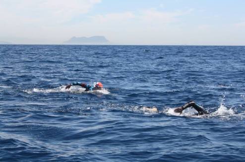 14674_852231748207268_6714027752548602446_n