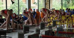 13433193_1091510997612674_1083696090617684990_o